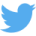 send to twitter